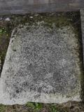 image of grave number 572070